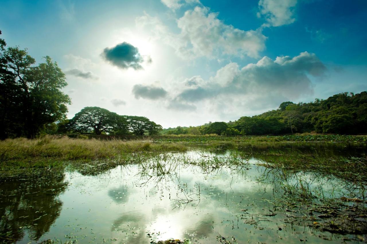 Liyya Water Villas Dambulla Eksteriør bilde