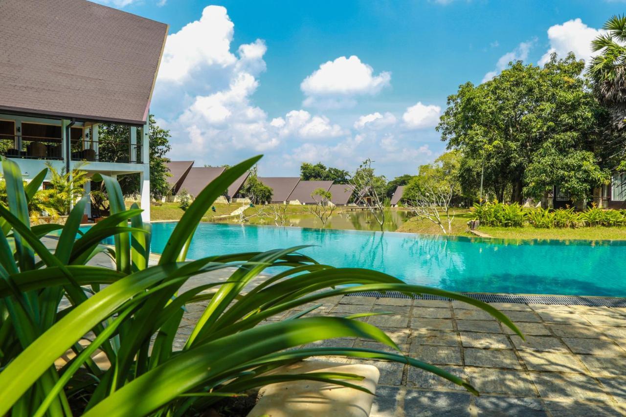 Liyya Water Villas Dambulla Eksteriør bilde