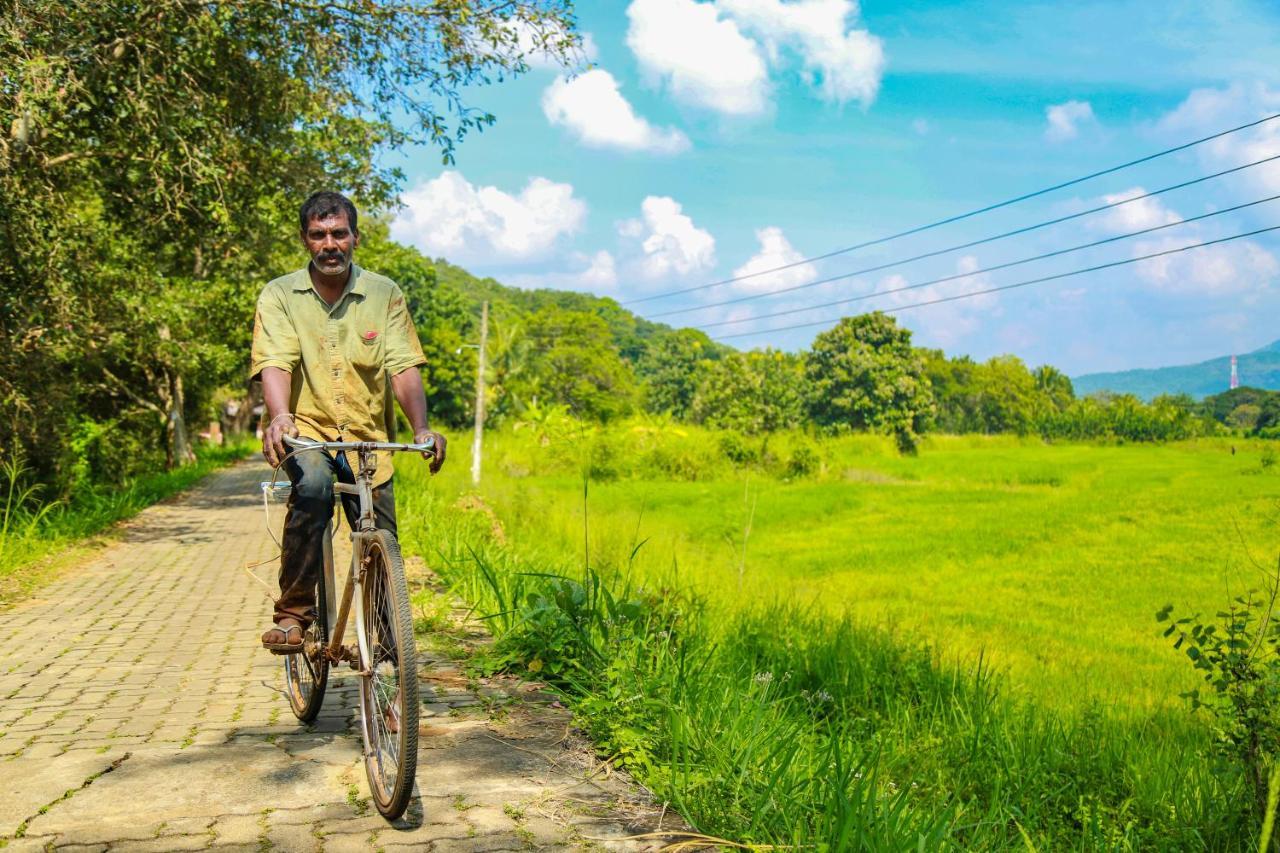 Liyya Water Villas Dambulla Eksteriør bilde
